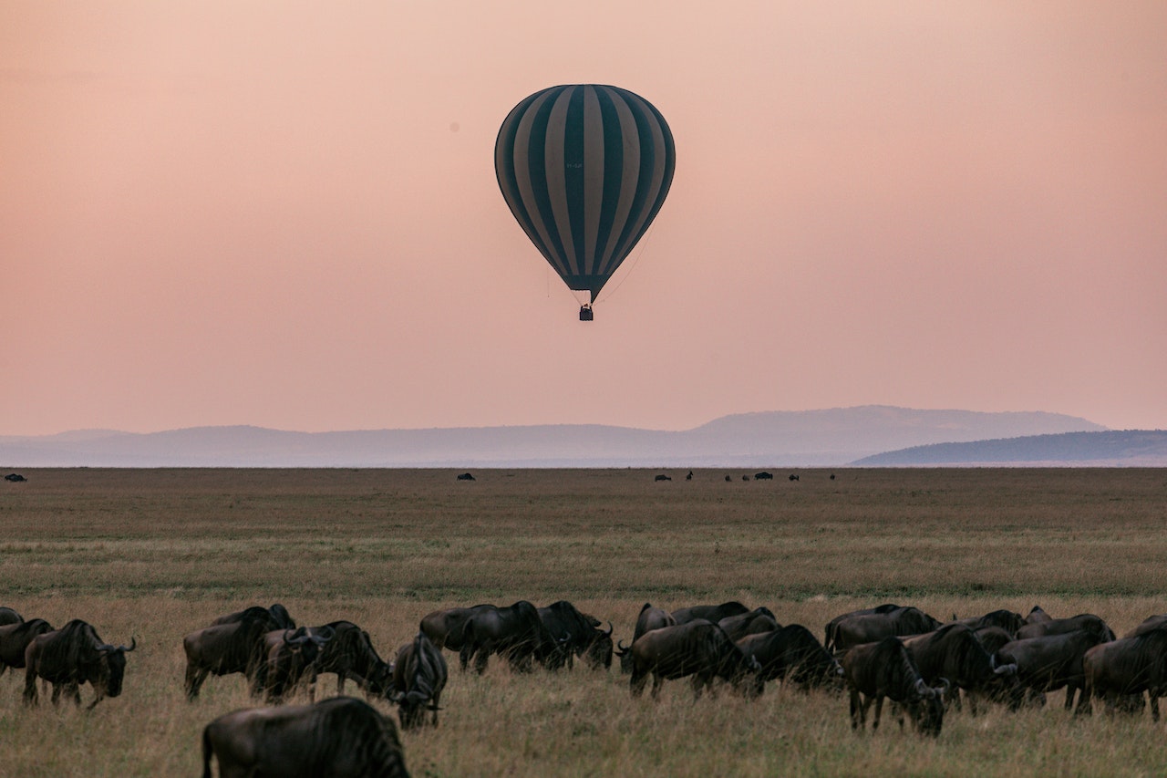 Baloon Ride ata serengeti